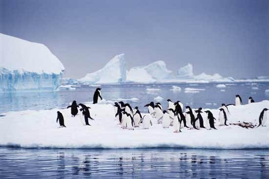 Antarctica